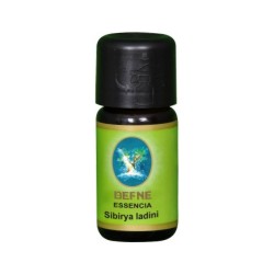 Sibirya Ladini Yağı - Geleneksel 10 ml